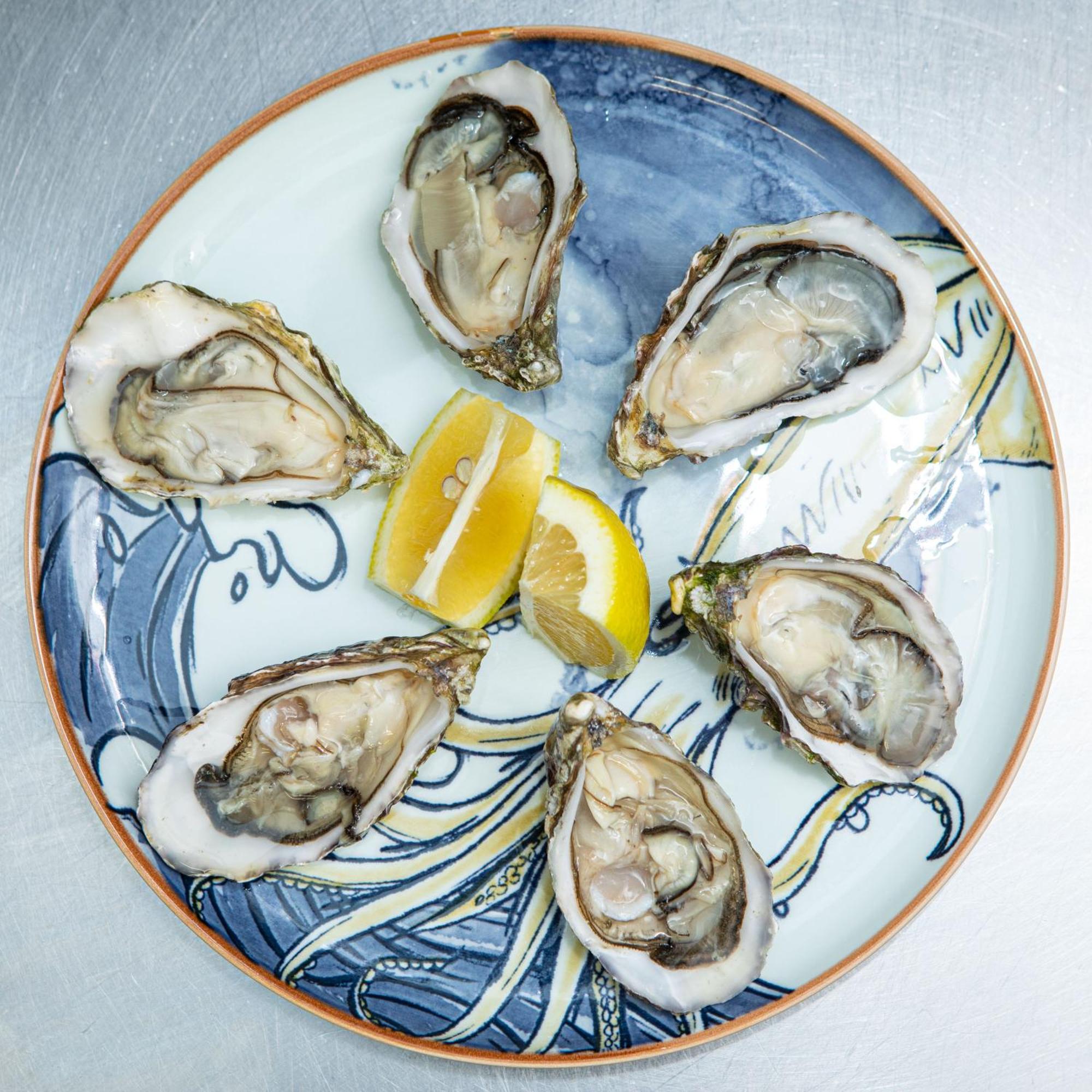 Ashes Seafood Restaurant Accommodation 丁格尔 外观 照片
